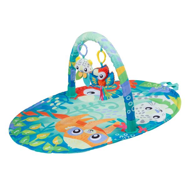 Plygro Mighty Milestones Play Gym