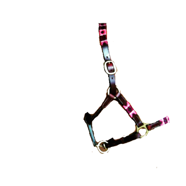Brown Ava Pink Leather Halter/Headcollar