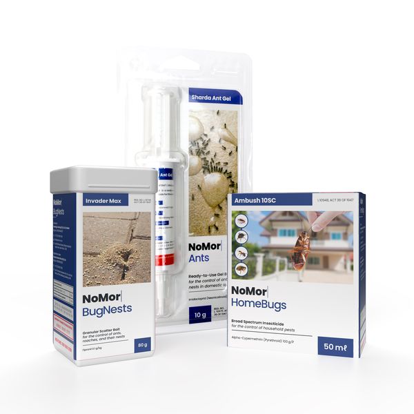 NoMor's Ant Defender Combo