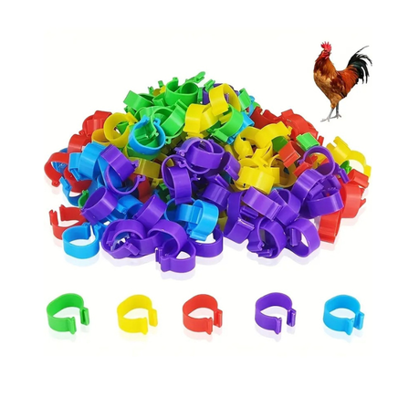 100 Piece Colorful Chicken Leg Bands - 16mm Image