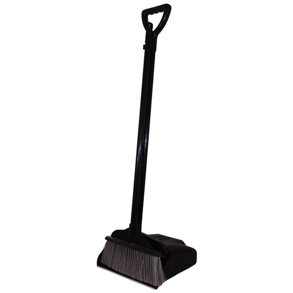 Parrot Products Plastic Long Handle Scoop and Broom - Black
