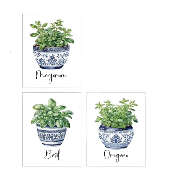 3pcs Watercolor Herb &amp; Botanical Prints In Blue And White
