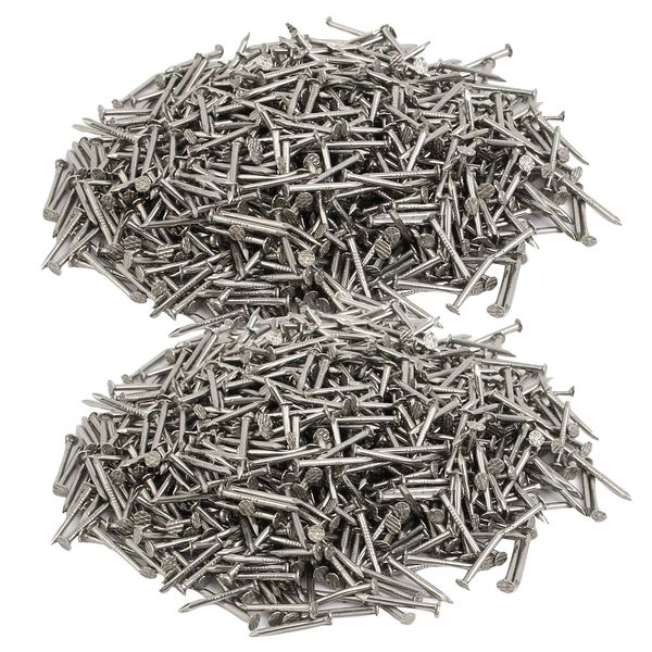 Tool Heavy Duty Stainless Steel Anti Rust Hardware Nail Set of 3000 (6mm)