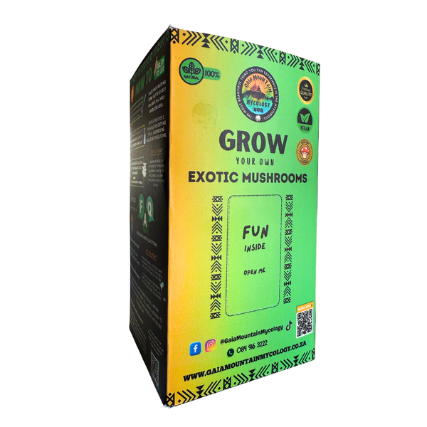 Grey Oyster Mushroom Grow Kit | Beginner Friendly | Gaia Mountain