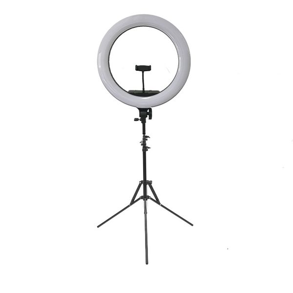 18 Inch LED Ring Light with Dual Remote Dimmer Dual, 2M Stand &amp; Carry Bag