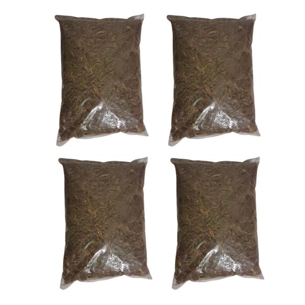 Sphagnum Moss Decor 2L Bag For Reptiles, Terrariums - 4 Pack
