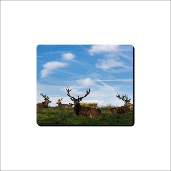 Mouse Pad - Reindeere