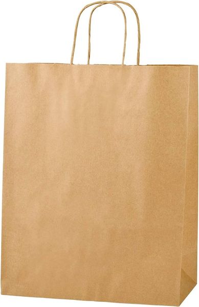 Kraft Paper Gift Bags- Medium (25 Pack)