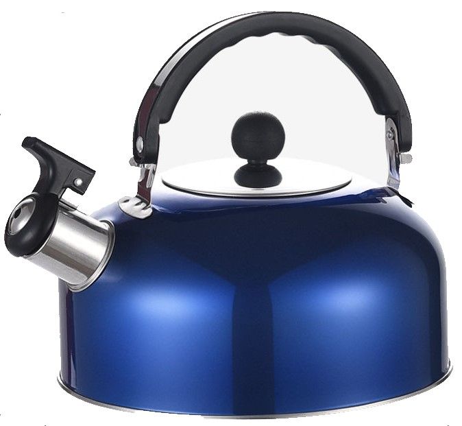 Stainless Steel Whistling Tea Kettle 2l Capacity Blue Buy Online in