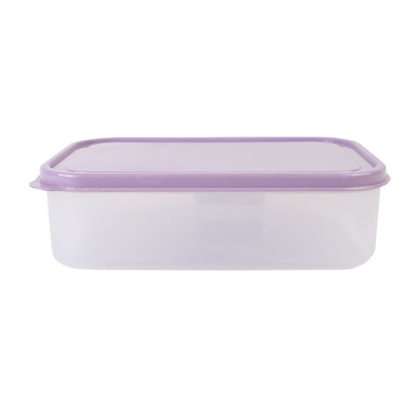 Plastic Lunch Box With Purple Lid