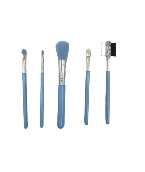 Makeup Brushes Set of 5 - Blue