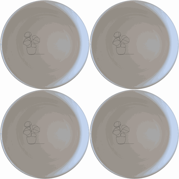 Pilea Peperomioides Bowl Set of 4 - Range 4
