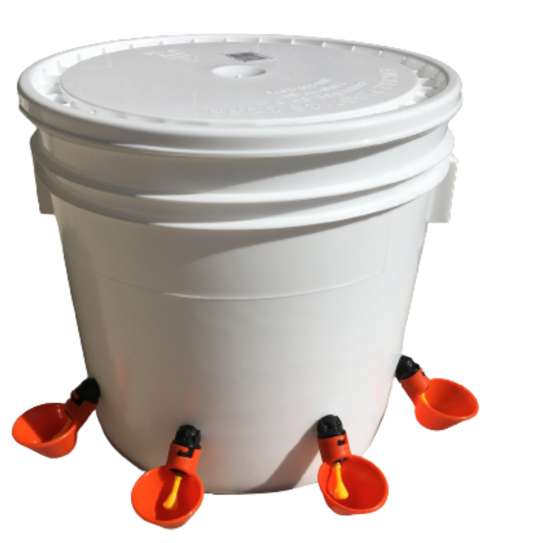 20 Litre Poultry Drinking Bucket With 5 Drinkers | Shop Today. Get it ...