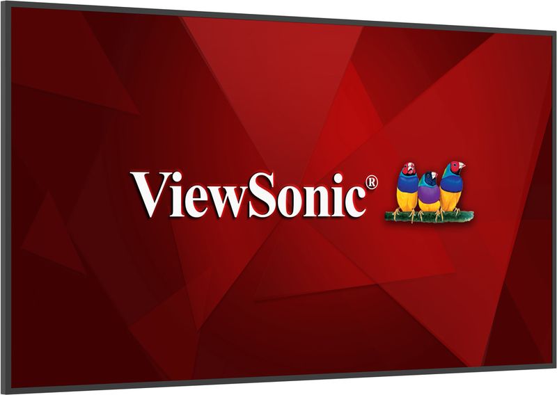 ViewSonic 55" 4K Presentation Display - CN5501-1C