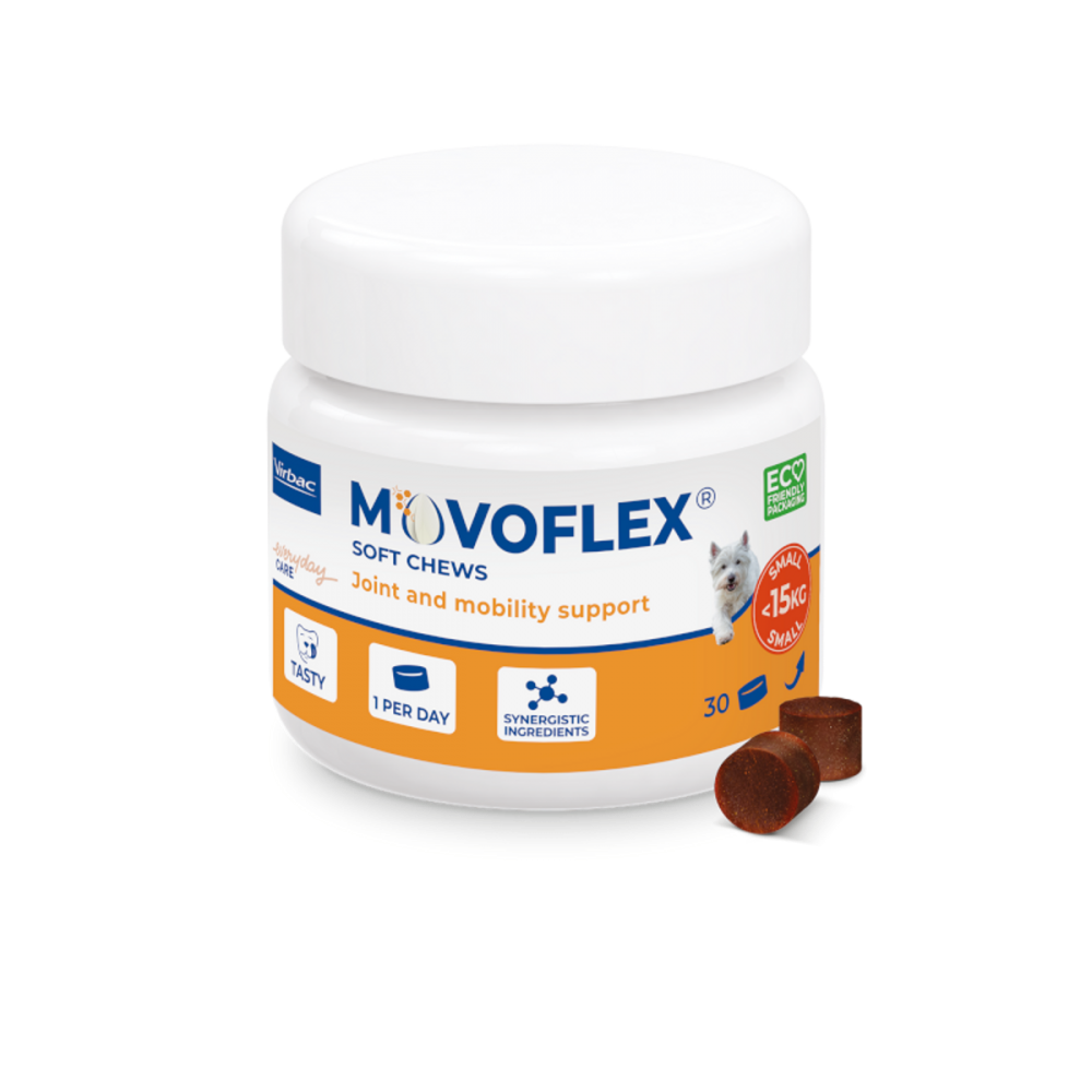 movoflex-soft-chews-for-joint-mobility-support-small-shop-today