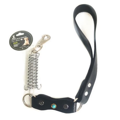 Dog shock hot sale collar takealot