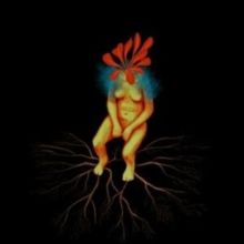 Sun Cutter (Vinyl / 12" Album)