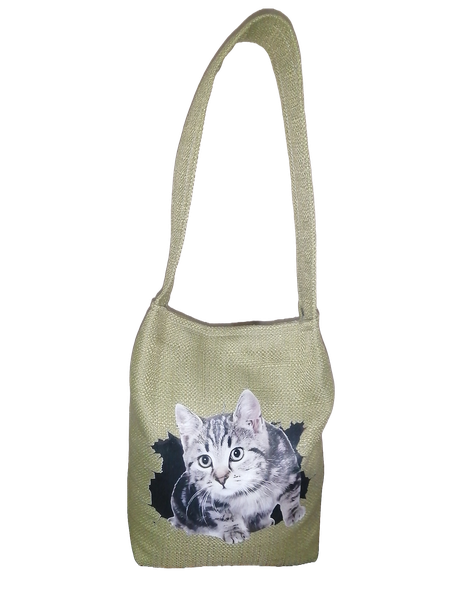 Doorstopper Tabby