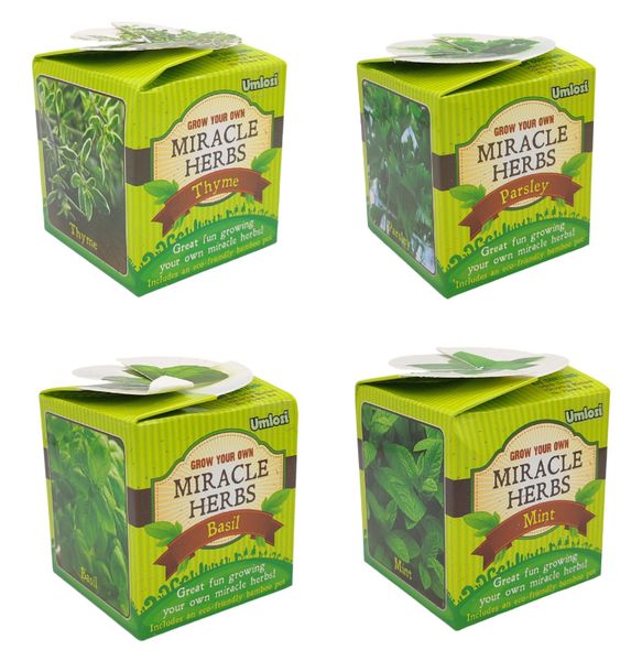 Herb Pots &amp; Seedlings - Educational &amp; Fun 4 Pack - Umlozi