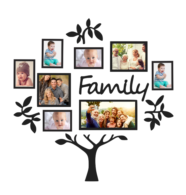 Family Tree" Wall Vinyl Stickers Roots of Love, Branches of Connection