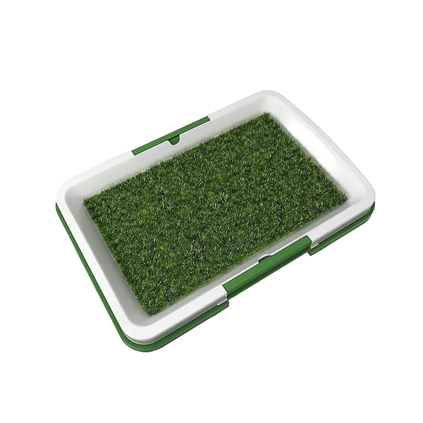 Indoor Potty Training Tray For Puppy