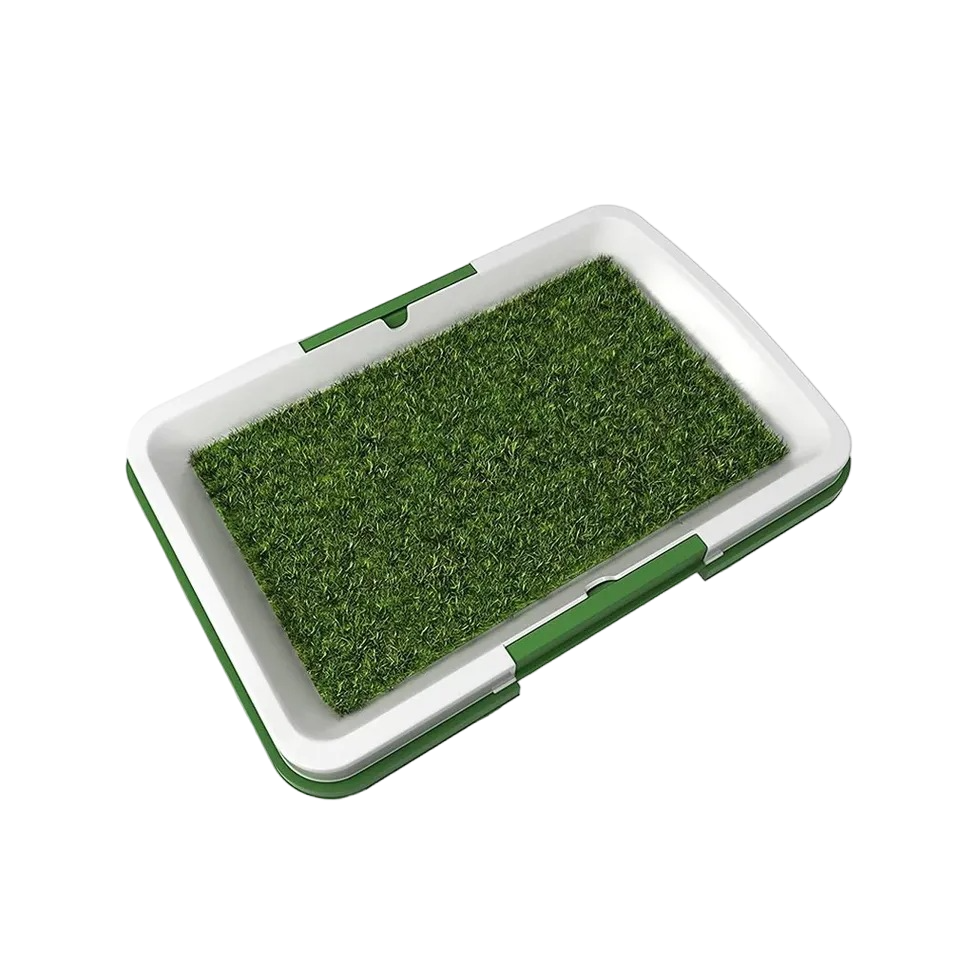 Indoor potty training tray for puppy shop today get it tomorrow