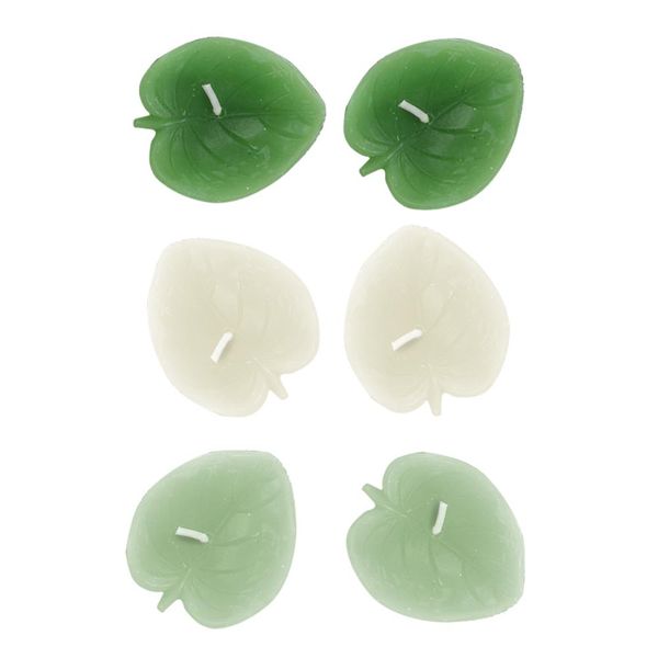 Jungle Leaf Shape Unscented Candles - Set of 6