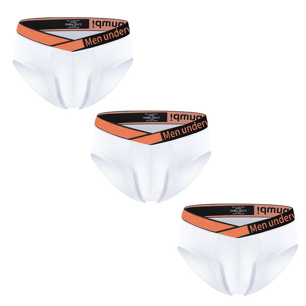 Modal Underwear Coquettish V-Shaped Comfortable Men's Brief- 3 Piece