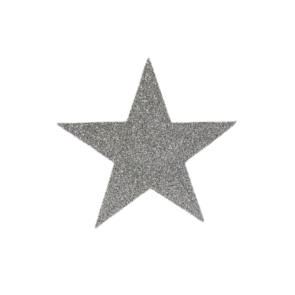 Polystyrene Silver Star - 9cm