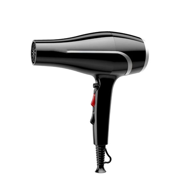 Professional High-Speed Hair Dryer with 2 Speed Settings