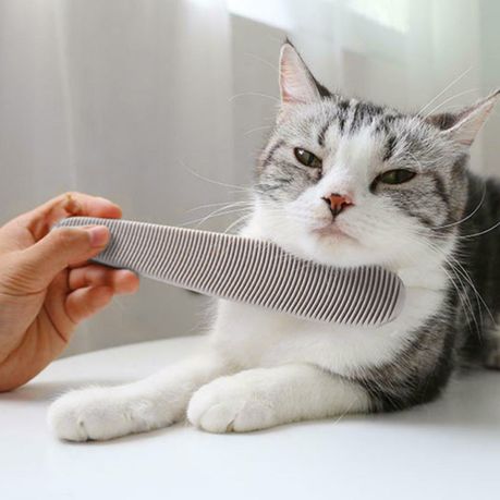 Cat tongue hair on sale brush