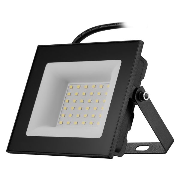 Switched 30W LED Flood Light