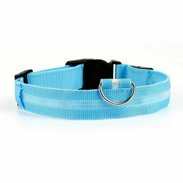 Pet Dog Light-Up Collar Rechargeable LED Collar