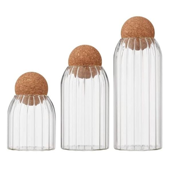 Transparent Borosilicate Glass Jar Set