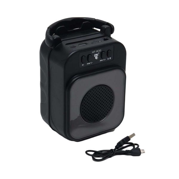 Portable Wireless Bluetooth Speaker HF-W-30-