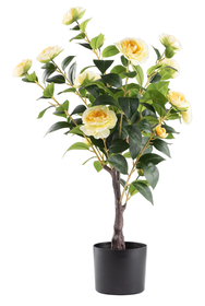 Artificial Camelia Rose Plant | Shop Today. Get it Tomorrow! | takealot.com