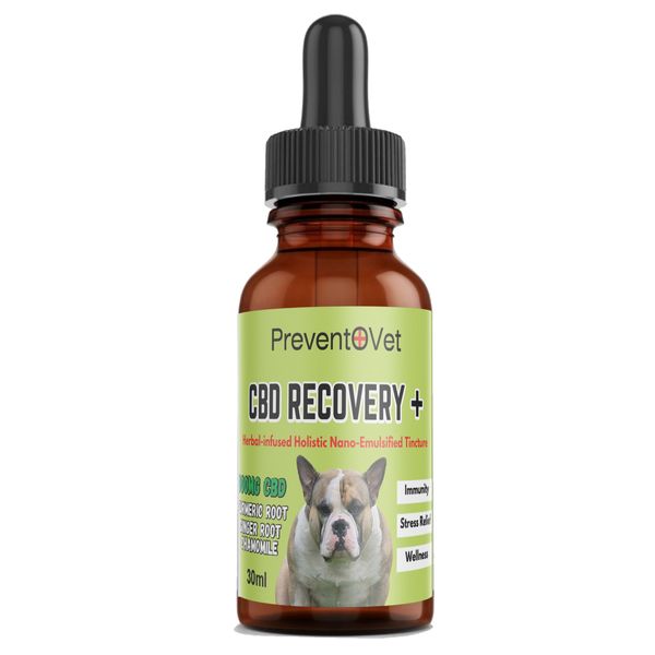 PreventoVet CBD Recovery + Herbal Nano Tincture (30ml)