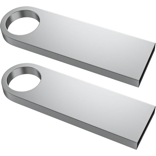 2GB Drive 2 Pack, Metal USB 2.0 Thumb Drives with Keychains USB Stick