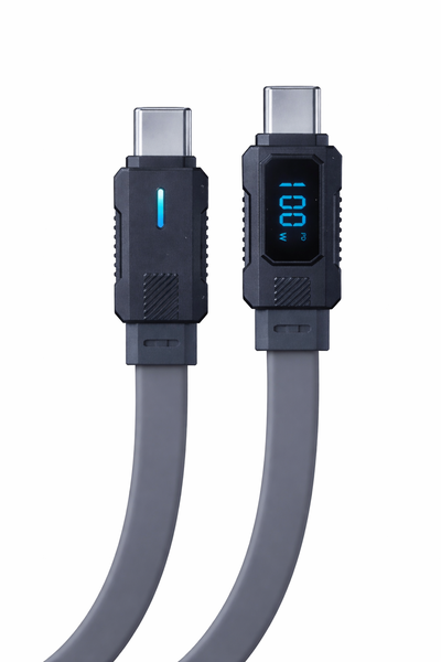 100W USB-C to USB-C Fast Charging Data Cable with LED Power Display - 1m
