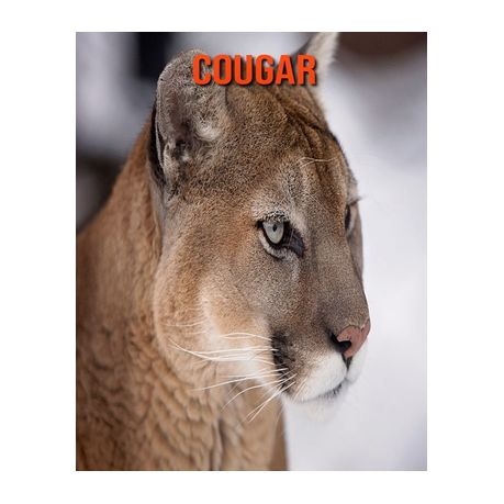 Beautiful Cougar Pics