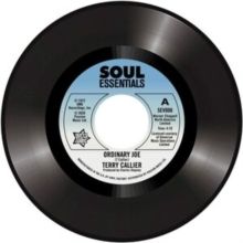 Ordinary Joe (Vinyl / 7" Single)