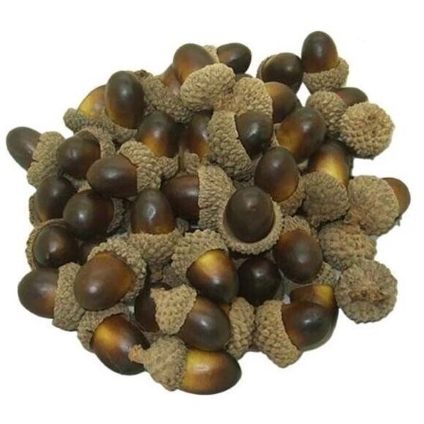 Craft Decor Wedding ,Christmas &amp; Halloween Fake Acorns 25 - Piece - 2cm