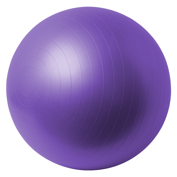 Anti-Burst 65cm Gym &amp; Yoga Active Exercise Ball