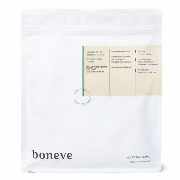 Boneve logo