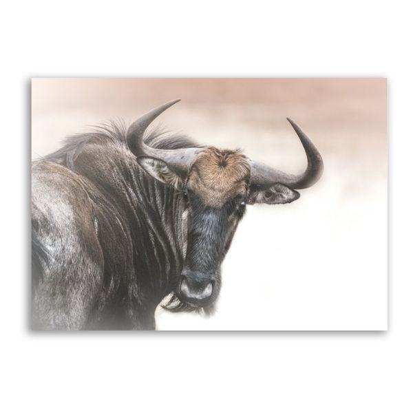 Wildebeest Closeup Canvas Animals Wall Art