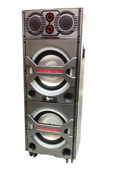 10" X 2 TROLLY SPK WIRELESS +MIC+REMOTE (OA-300)