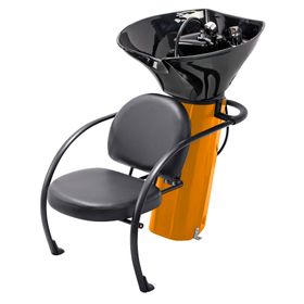 Ace Backwash Chair With Adjustable Backrest | Buy Online in South Africa |  