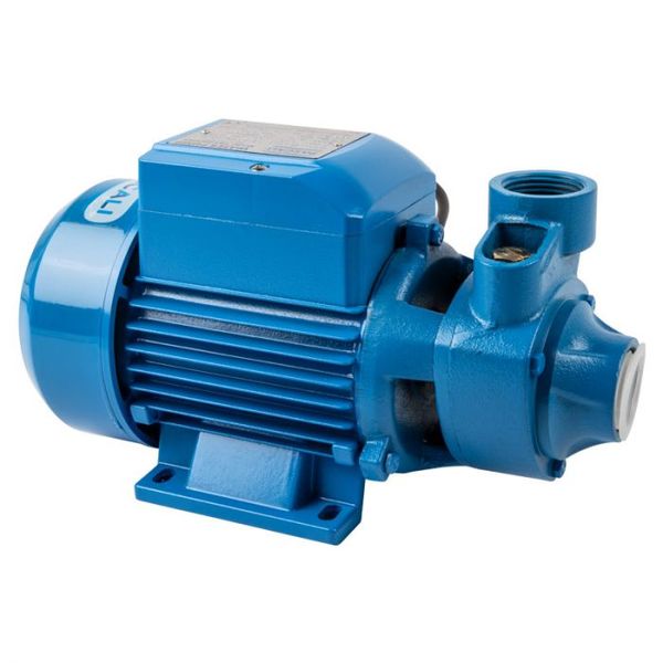 Pascali - Peripheral Pump 25X25mm 230V 0.75Kw