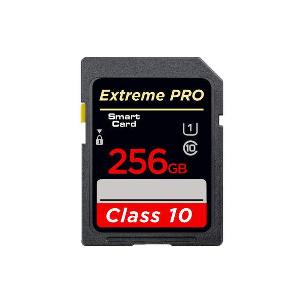 SD UHS I 256GB Card for 4K Video C10, U3, V30, 4K UHD, SD Card - SD