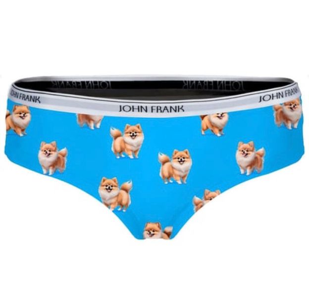 John Frank Women's Premium Cotton Underwear Hipster.